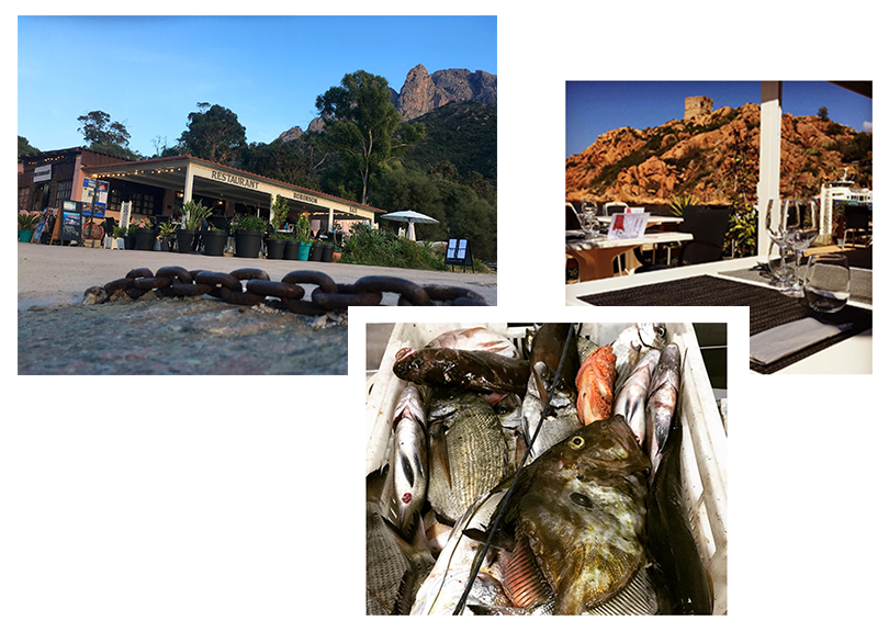 Le restaurant - Le robinson - Ota - restaurant a faire OTA